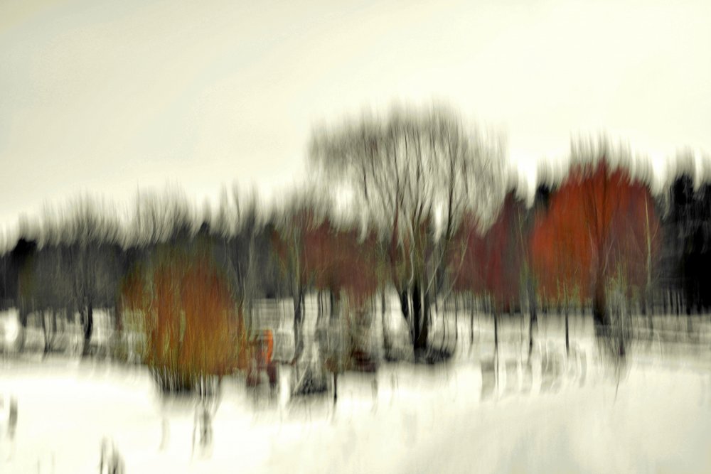 Forêt hivernale (abstraite) - Christina Sillen