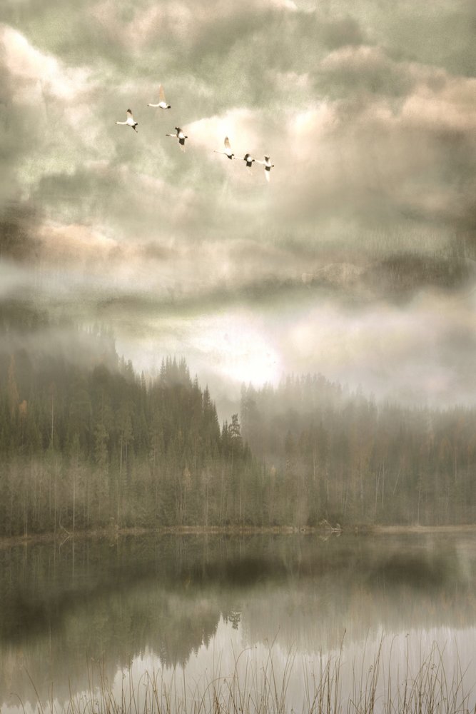  - Christina Sillen