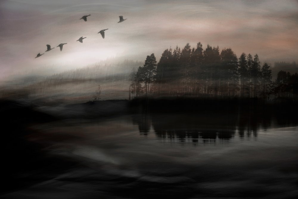  - Christina Sillen