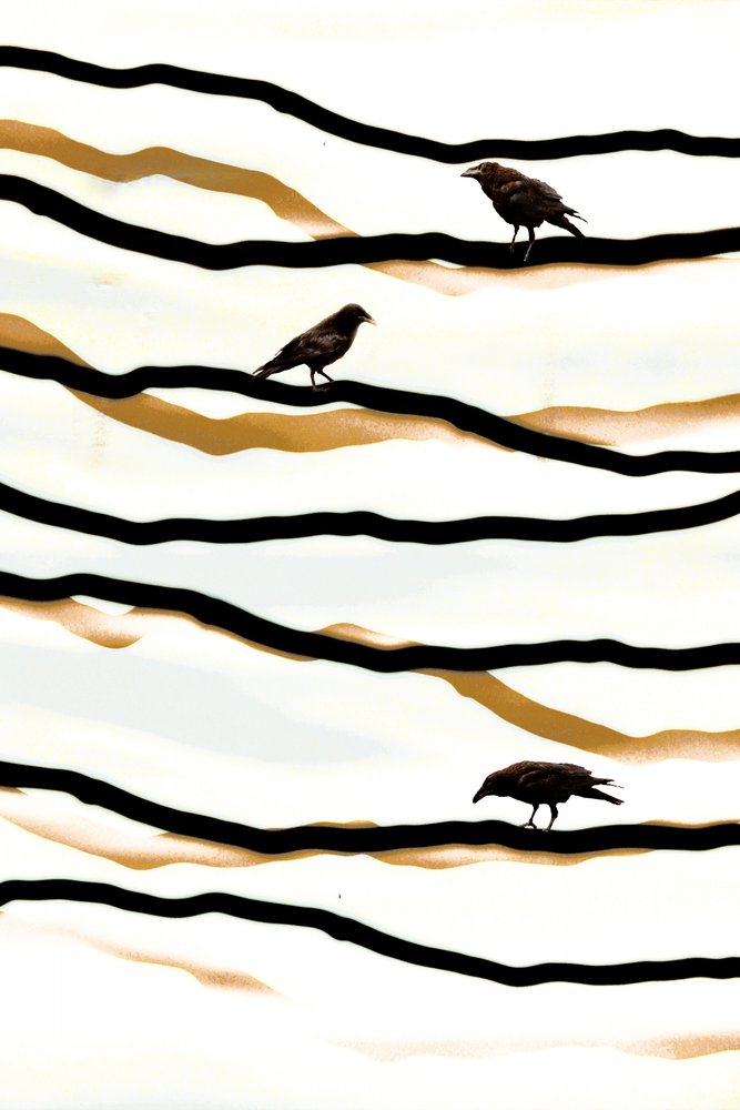 Des oiseaux sur des vagues dorées - Christina Sillen