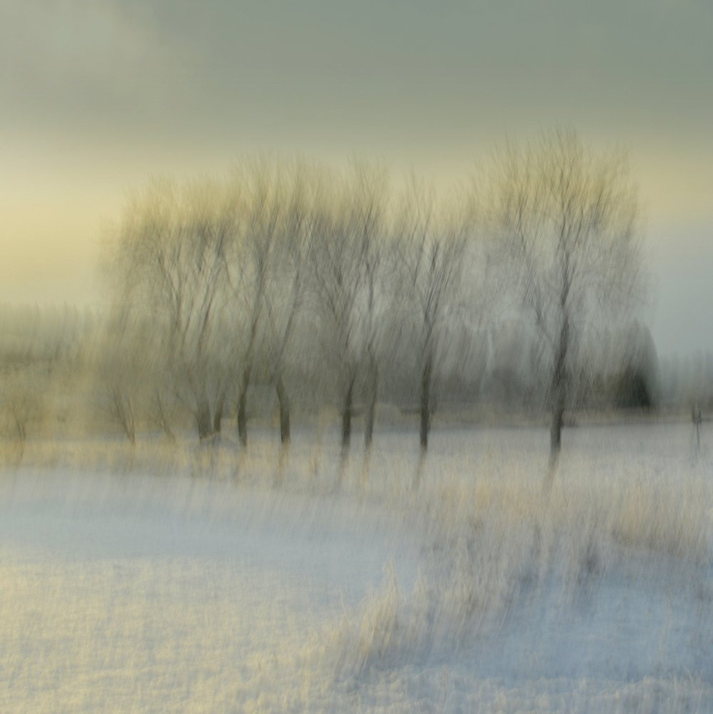  - Christina Sillen
