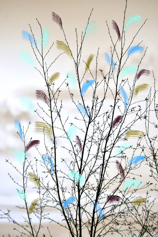 Branches abstraites colorées - Christina Sillen