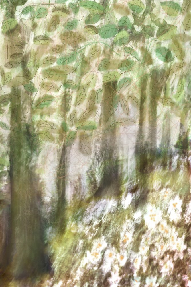 Fleurs de la forêt enchantée - Christina Sillen
