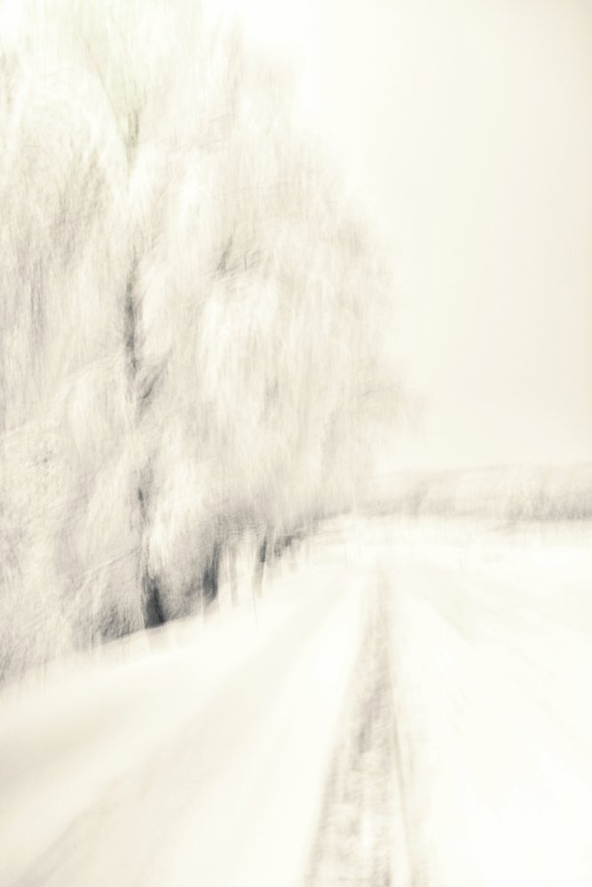 Un sentier hivernal de rêve - Christina Sillen
