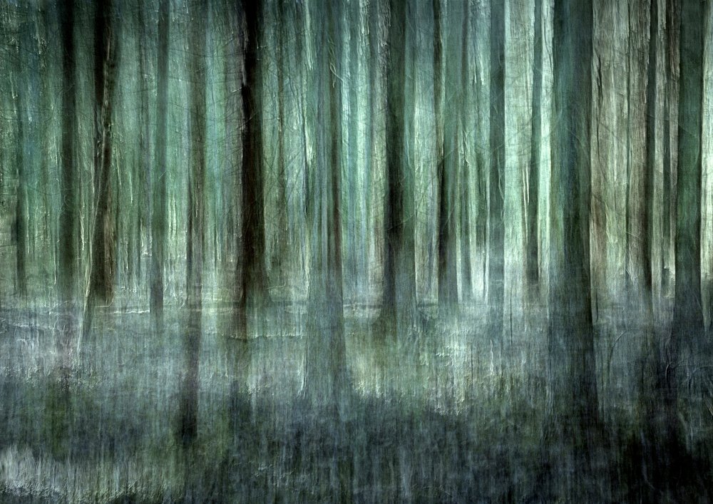 Flou de la forêt éthérée - Christina Sillen
