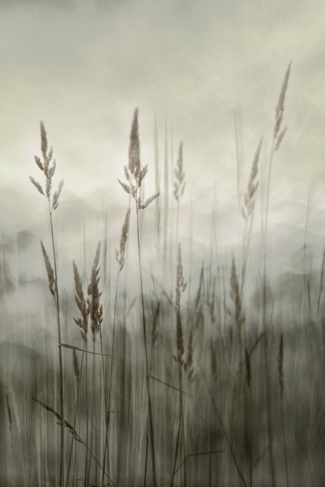  - Christina Sillen