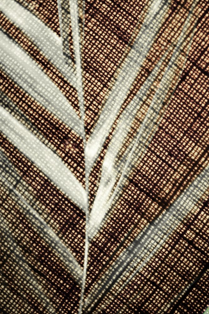 Motif de feuille finement travaillé - Christina Sillen