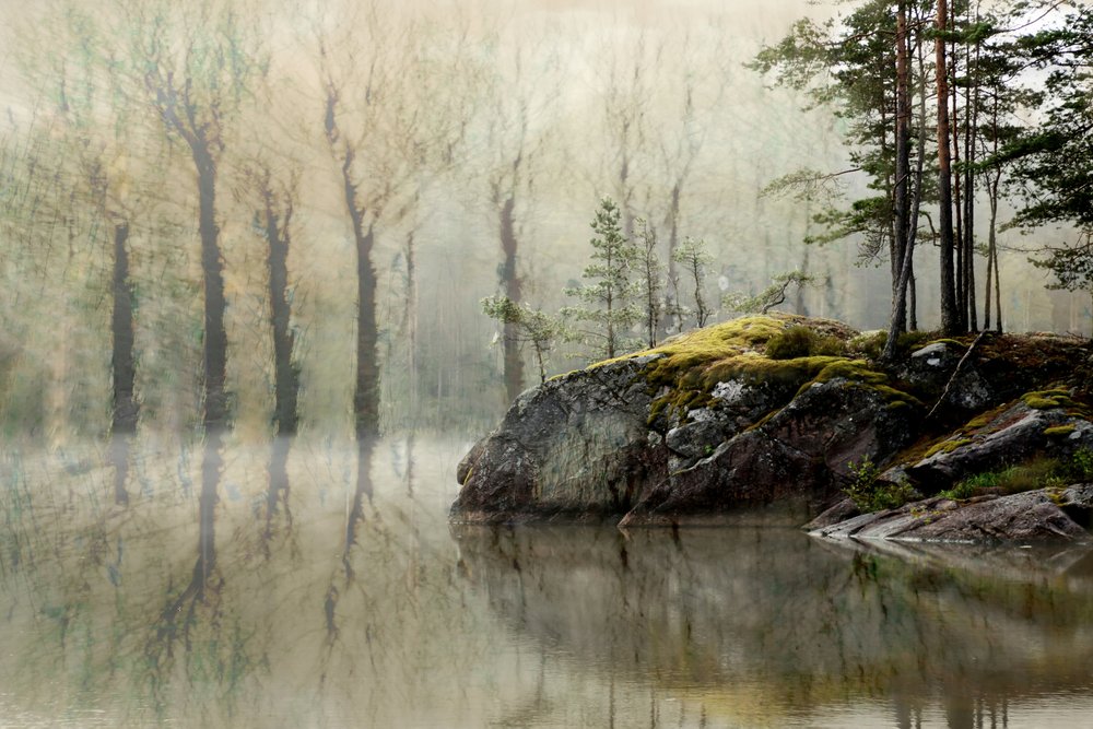 Le lac de la Forêt Brumeuse - Christina Sillen