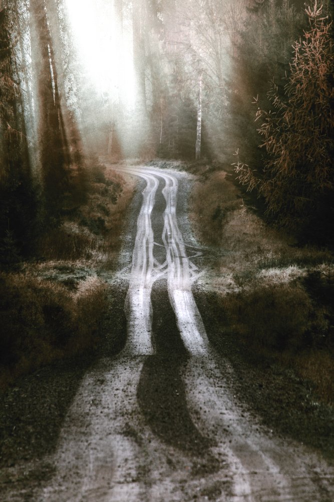 La route de la forêt brumeuse - Christina Sillen