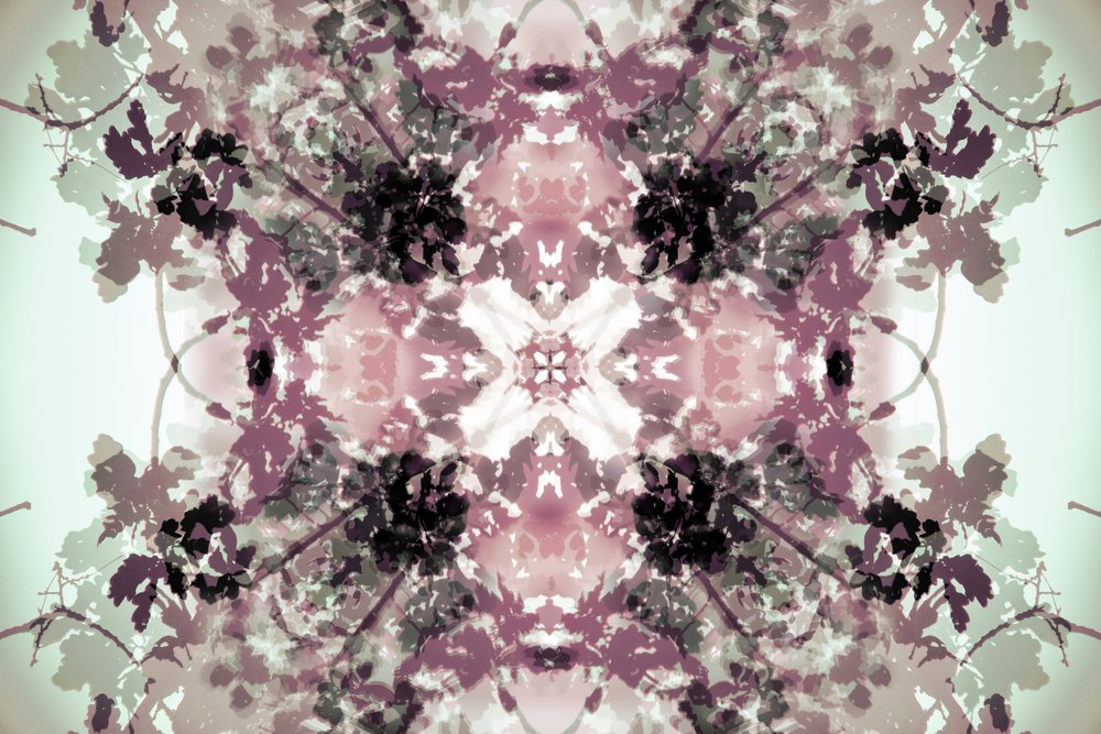 Symétrie botanique en tons neutres - Christina Sillen