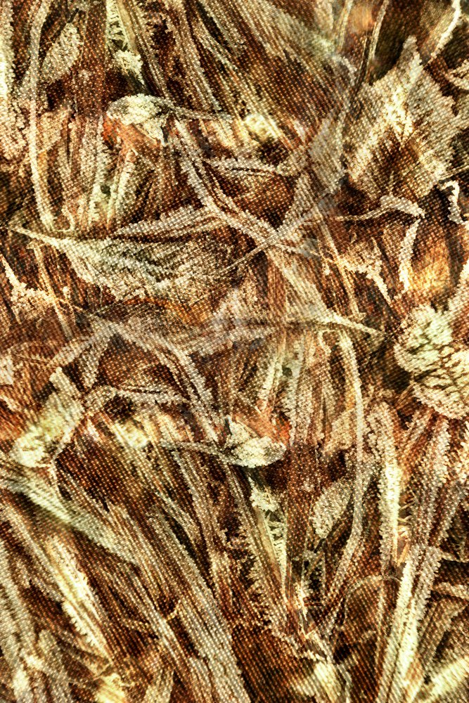 Motif de camouflage naturel - Christina Sillen