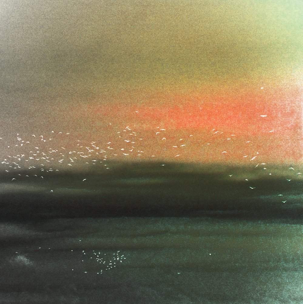Oiseaux marins et ciel rouge - Christina Sillen