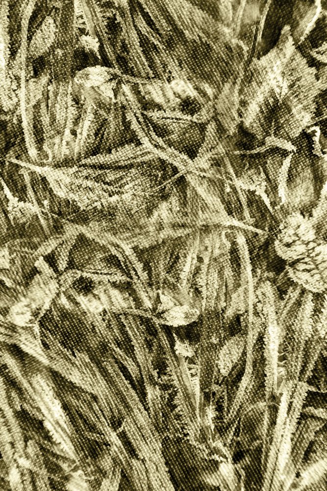 Texture feuille rustique - Christina Sillen