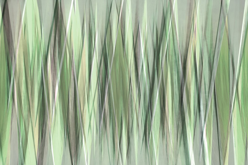 Lames vertes sereines - Christina Sillen
