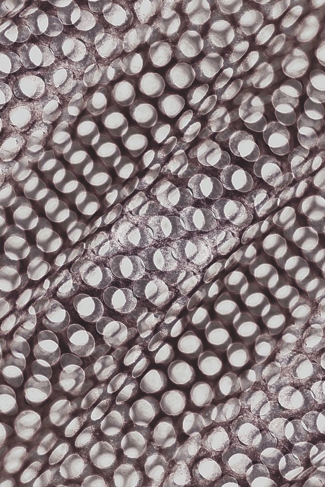 Motif circulaire chatoyant - Christina Sillen