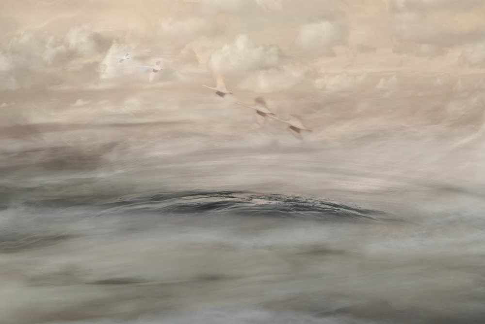 Silver Haze - Christina Sillen