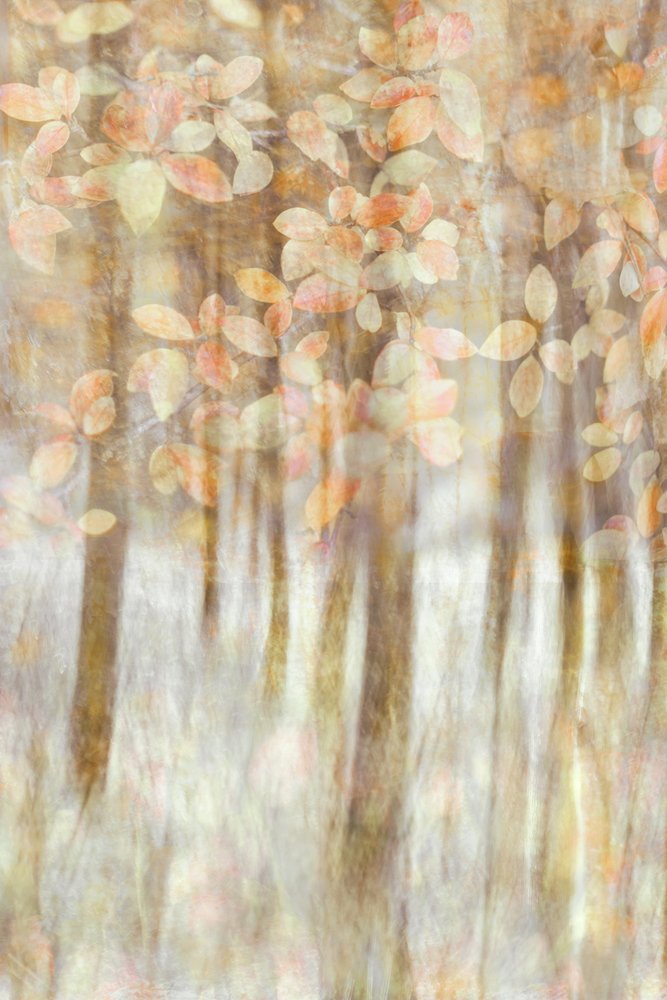  - Christina Sillen