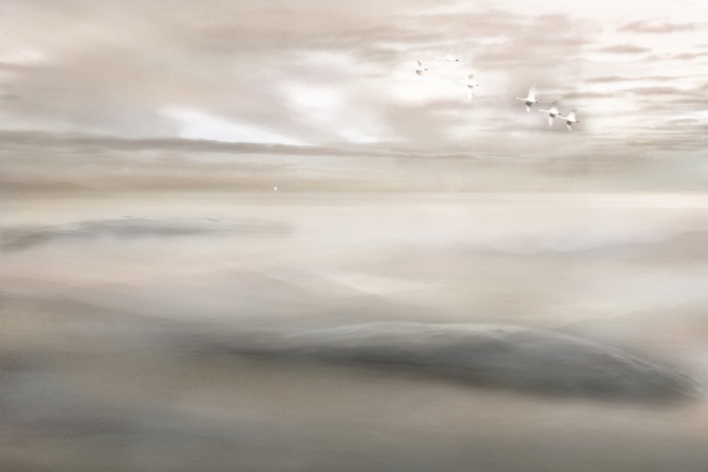 Chant du cygne à la brume - Christina Sillen