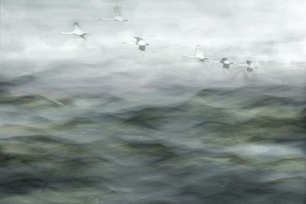  - Christina Sillen
