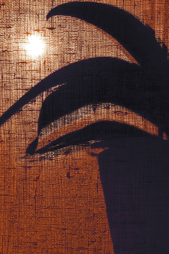 Silhouette végétale chaleureuse - Christina Sillen