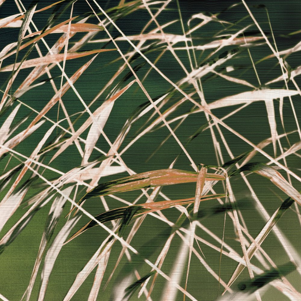Résumé de « Whispering Reeds » - Christina Sillen