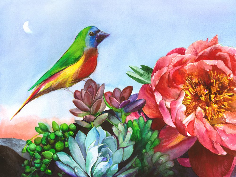 Jardin de pivoines « Oiseaux colorés » - Christine Lindstrom