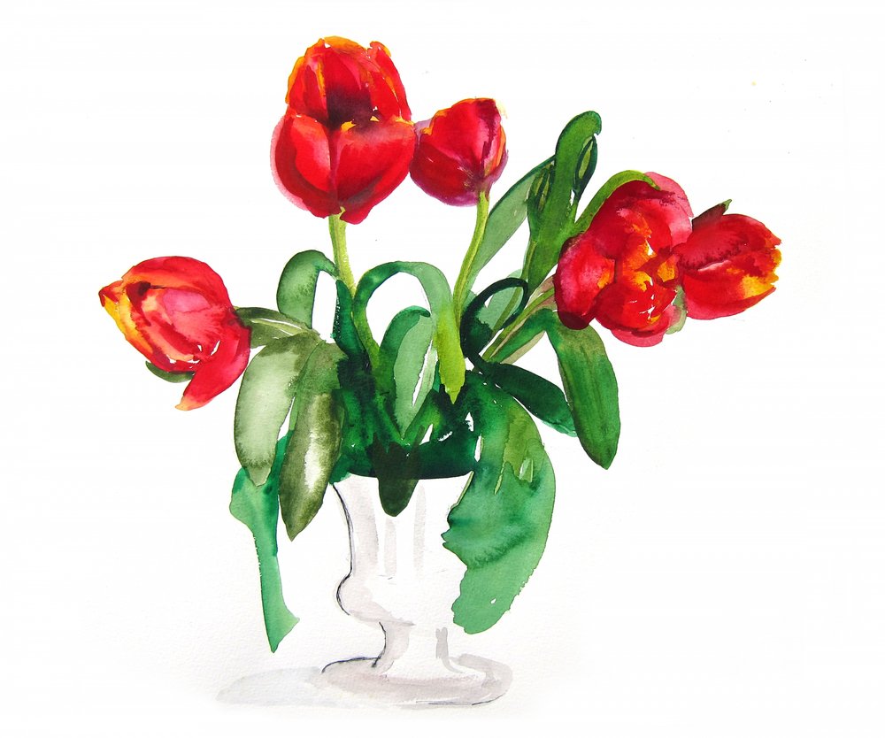 Des tulipes d