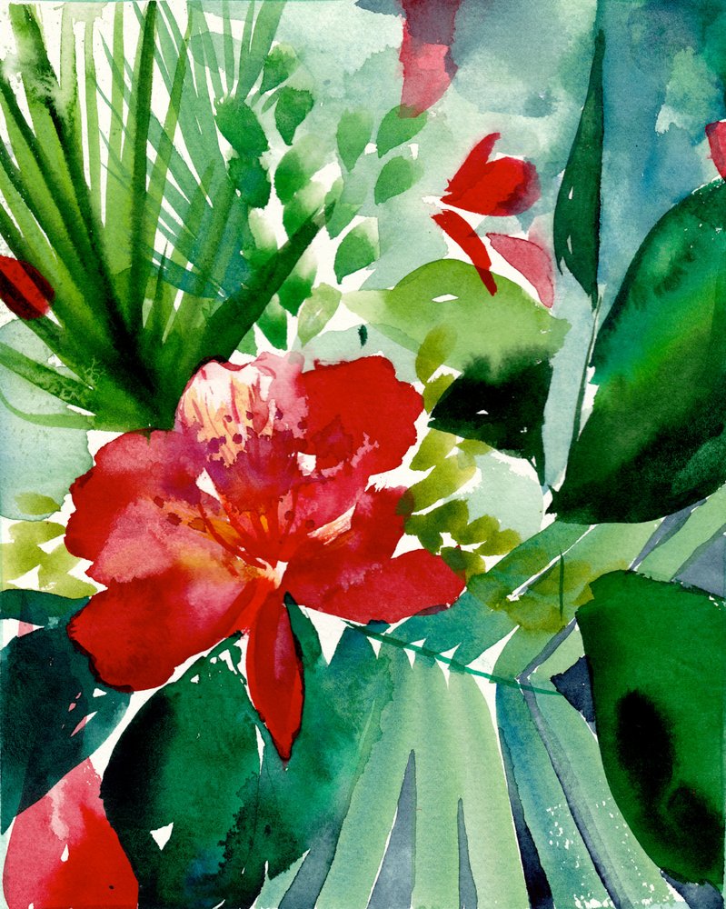 Une floraison tropicale éclatante - Christine Lindstrom