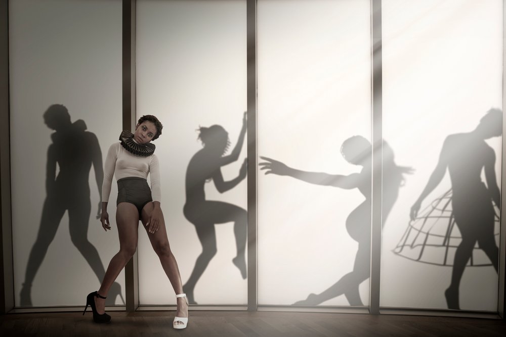 Une danseuse parmi les ombres - Christine von Diepenbroek