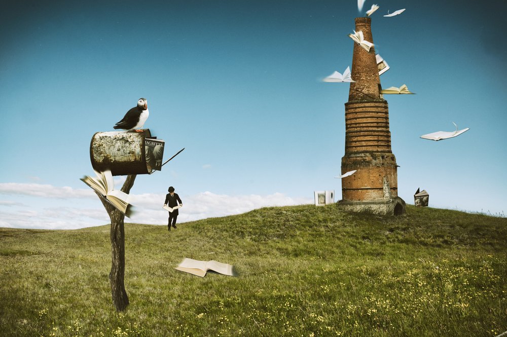 Livres « Puffin Flying » - Christine von Diepenbroek