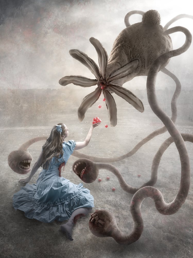 Le Pays des Merveilles macabre - Christophe Kiciak