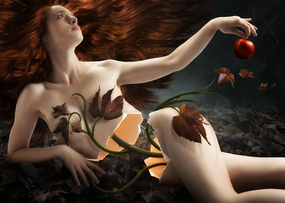 La tentation de la nature - Christophe Kiciak
