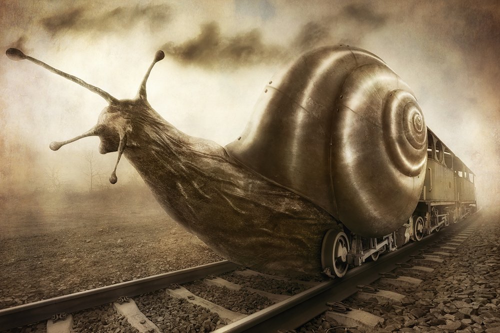  - Christophe Kiciak