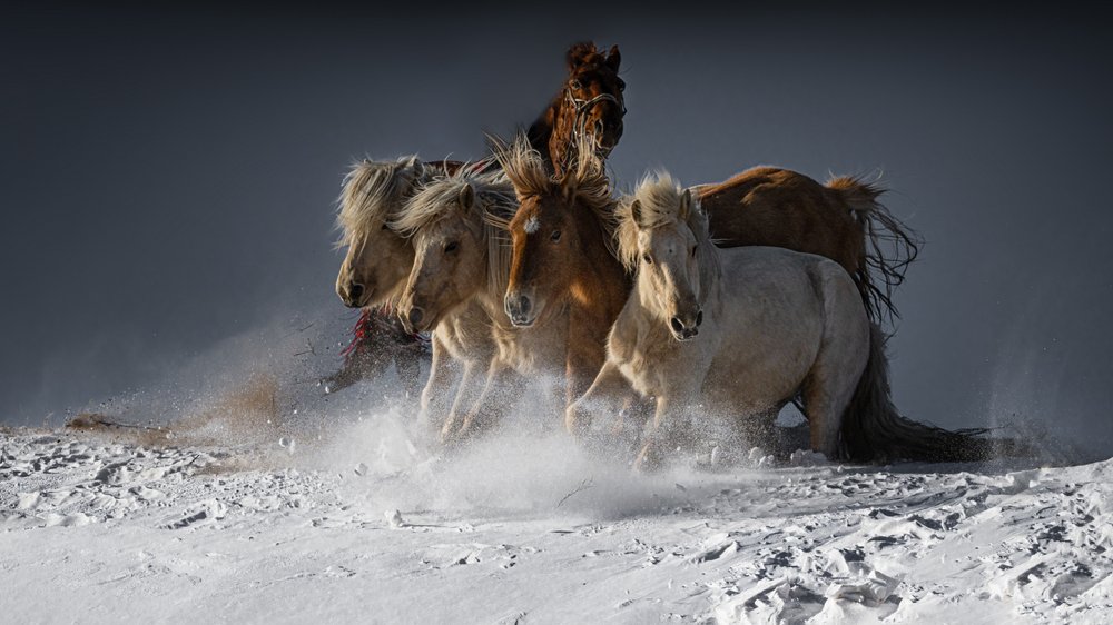  - Chuanxu Ren