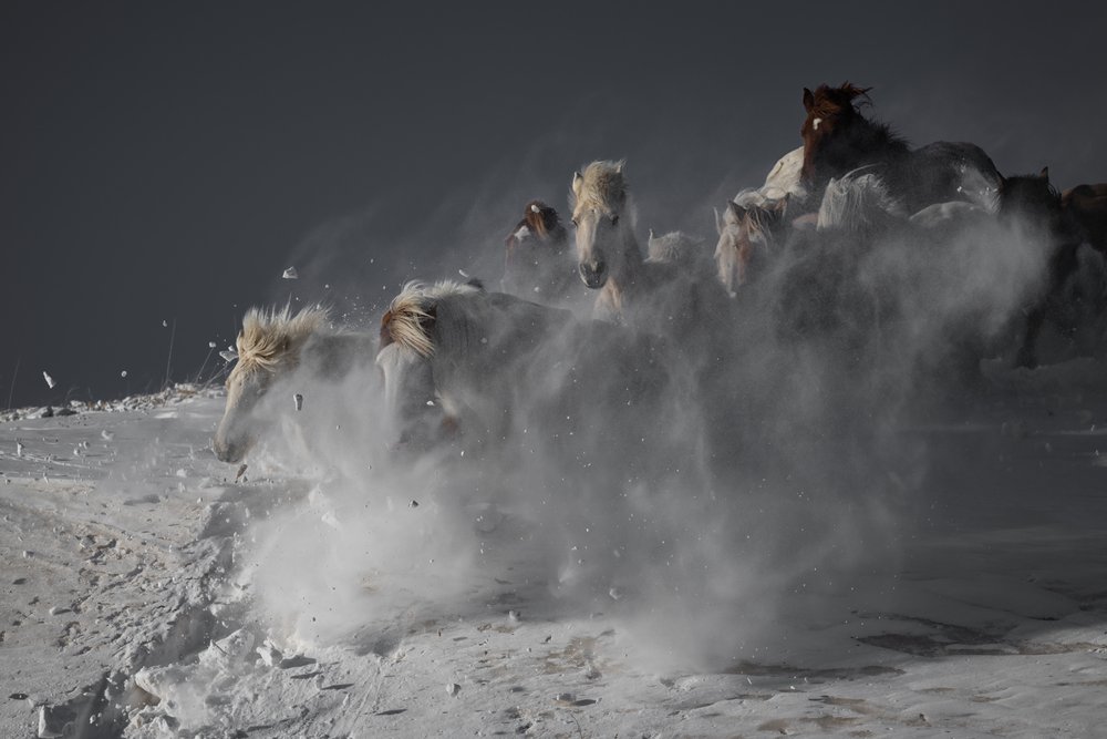  - Chuanxu Ren
