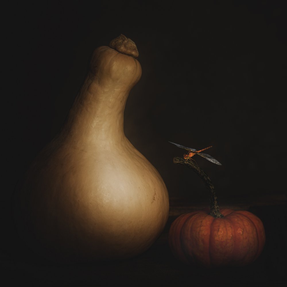 Courge d