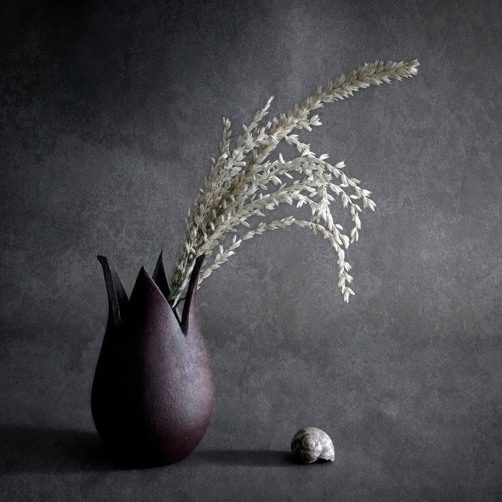 Nature morte botanique sombre - Cicek Kiral
