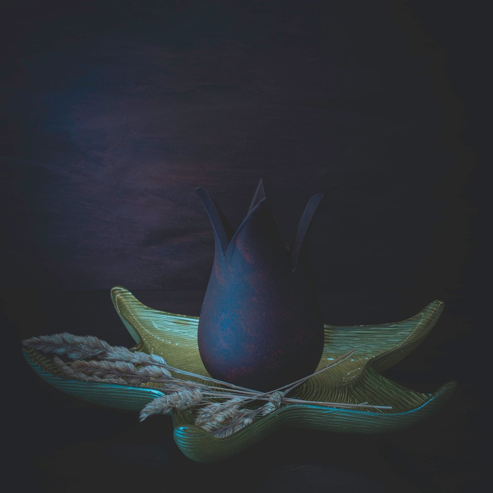Nature morte botanique sombre - Cicek Kiral