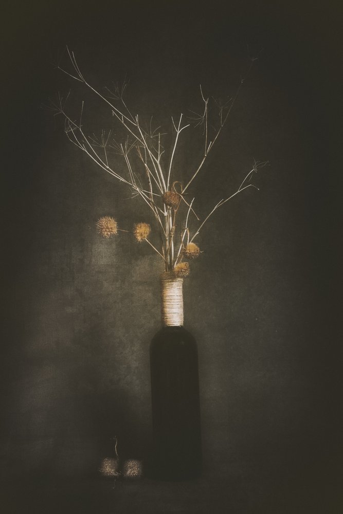 Nature morte botanique sombre - Cicek Kiral