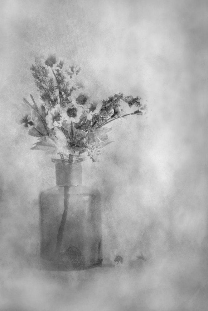 Fleurs en noir et blanc, un véritable rêve - Cicek Kiral