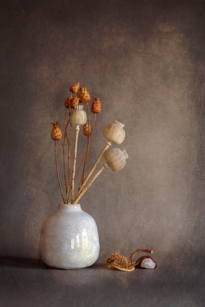 Nature morte aux coquelicots séchés - Cicek Kiral