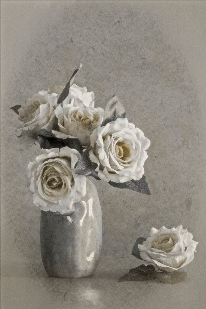 Élégantes roses blanches - Cicek Kiral