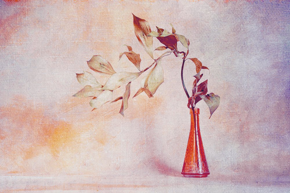 Feuilles fanées, vase orange - Cicek Kiral