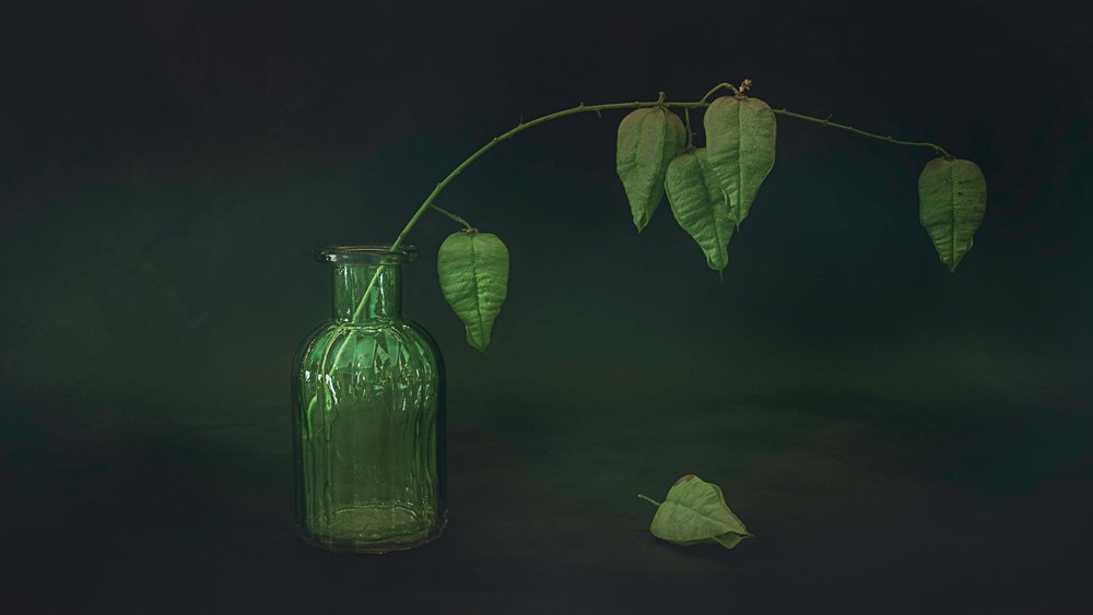 Nature morte aux feuilles vertes - Cicek Kiral