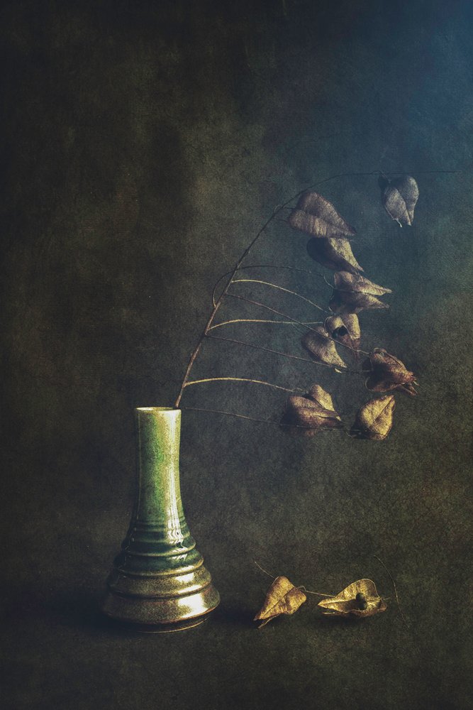 Vase vert avec des gousses séchées - Cicek Kiral