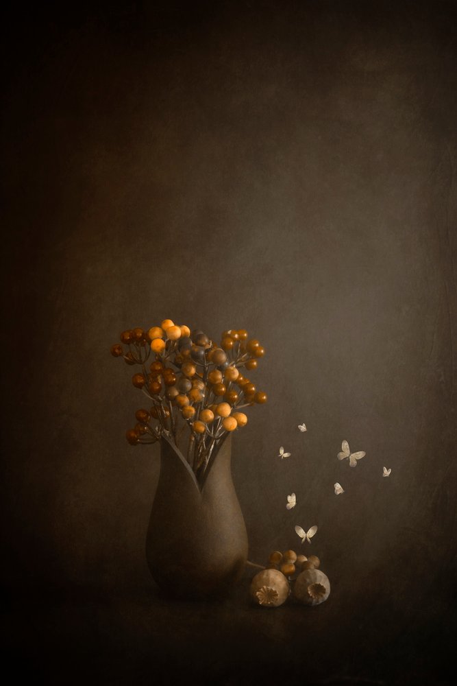 Petits pas vers le printemps - Cicek Kiral