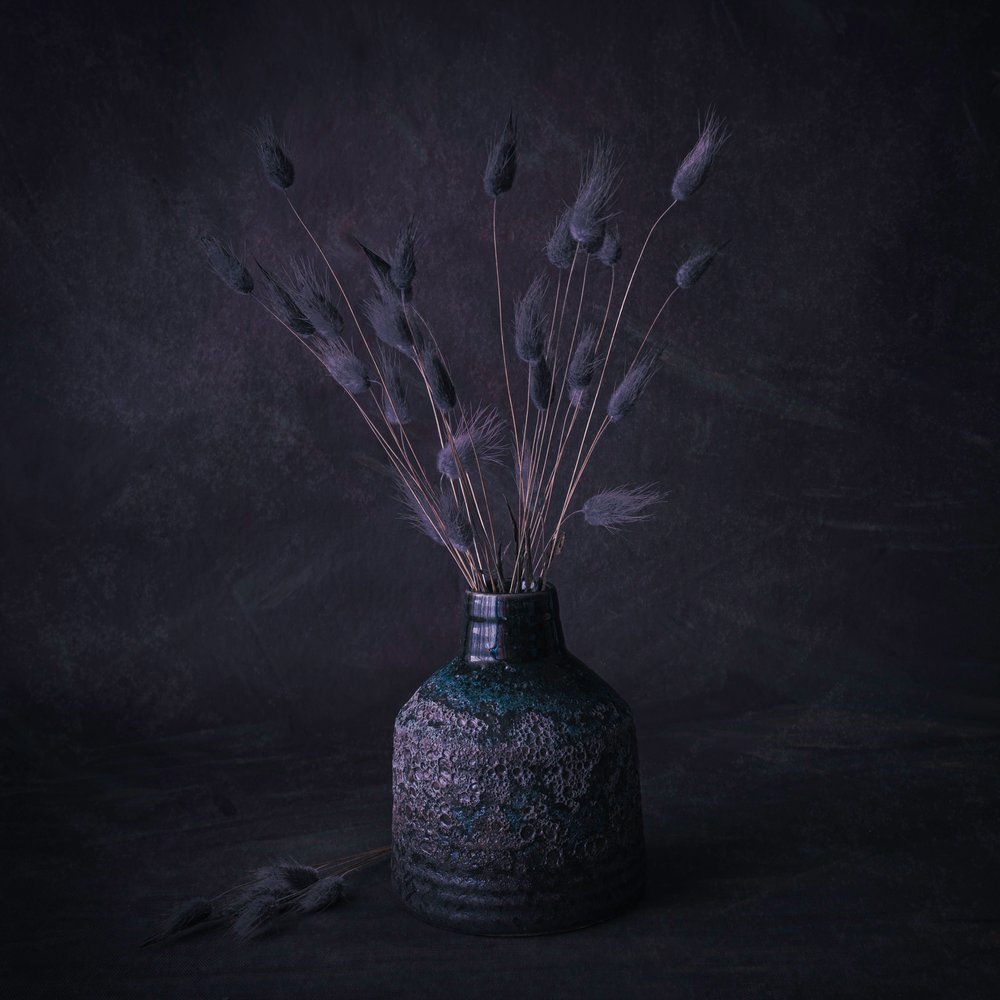 Fleurs séchées Moody - Cicek Kiral