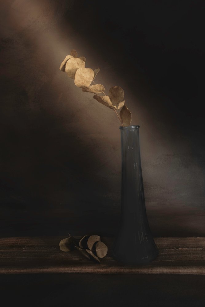Feuilles séchées « Moody » - Cicek Kiral