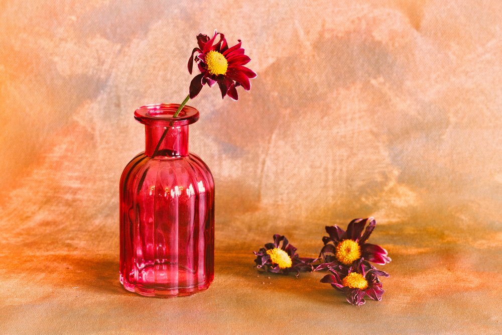 Dahlia « Moody Red » - Cicek Kiral