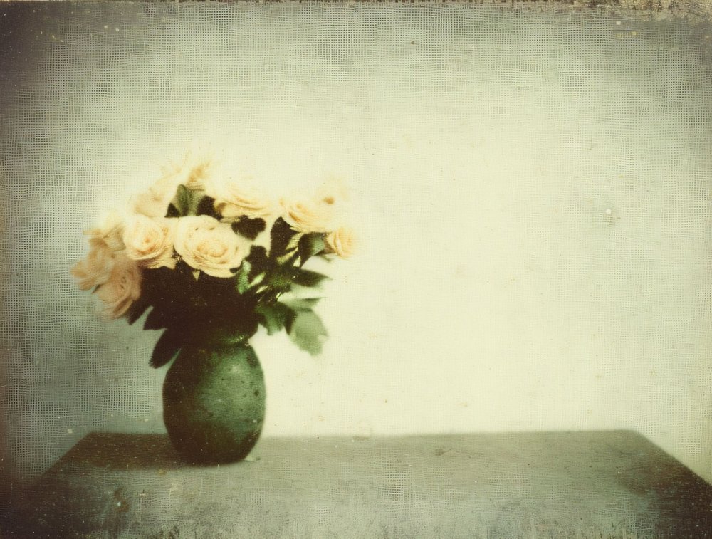 Doux bouquet de roses vintage - Cicero Spin